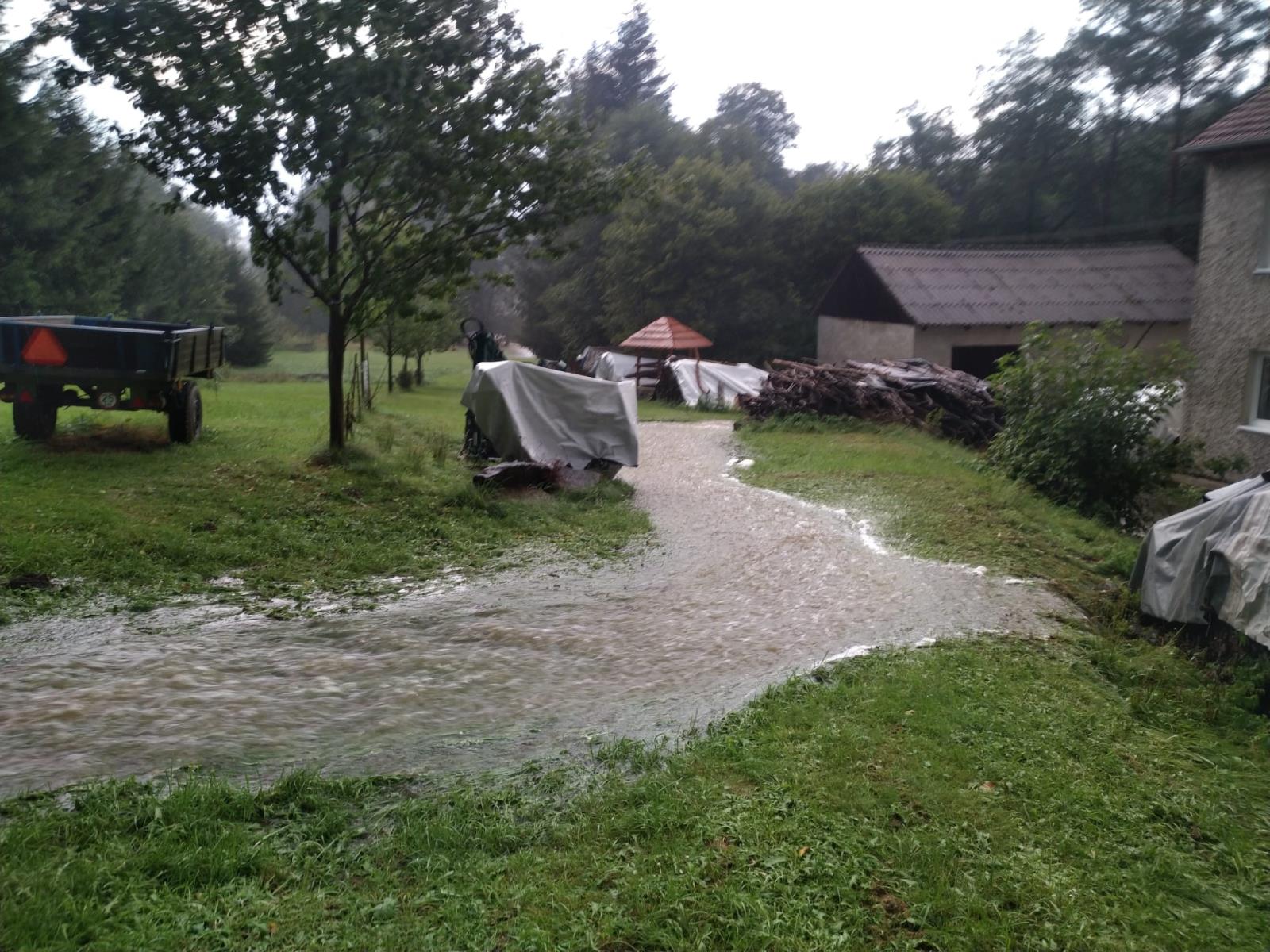 1309_bourky_dzbel (18).jpeg