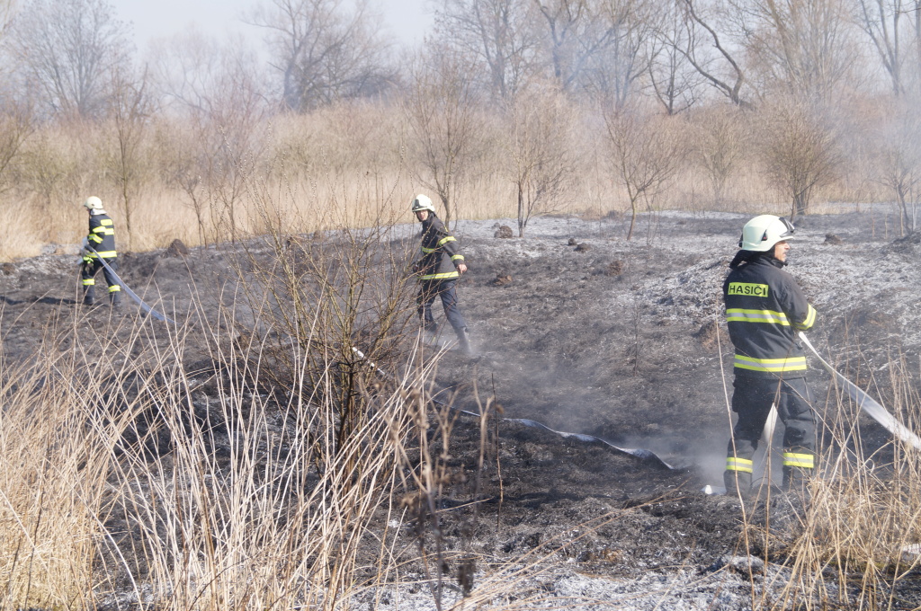 14-03-14 HK, Kydlinovská ulice (4).JPG