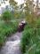 14-05-19 Ruprechtice (1)