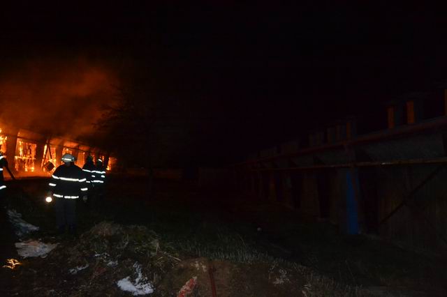 16 Resize of vep°Ýn 016.jpg