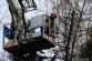 16 TP_Olomouc_Jilova_1-4-2015 odstranění stromu Olomouc (23)