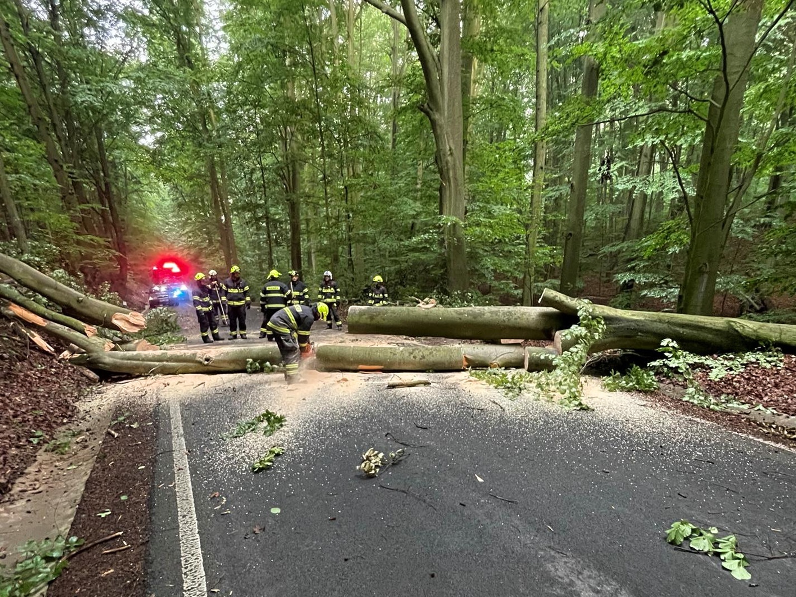 160725-Odstraňování mohutného stromu z vedlejší silnice u obce Medonosy na Mělnicku.jpg