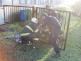 17-04-30 Trutnov (2)
