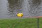 17 DSC00087