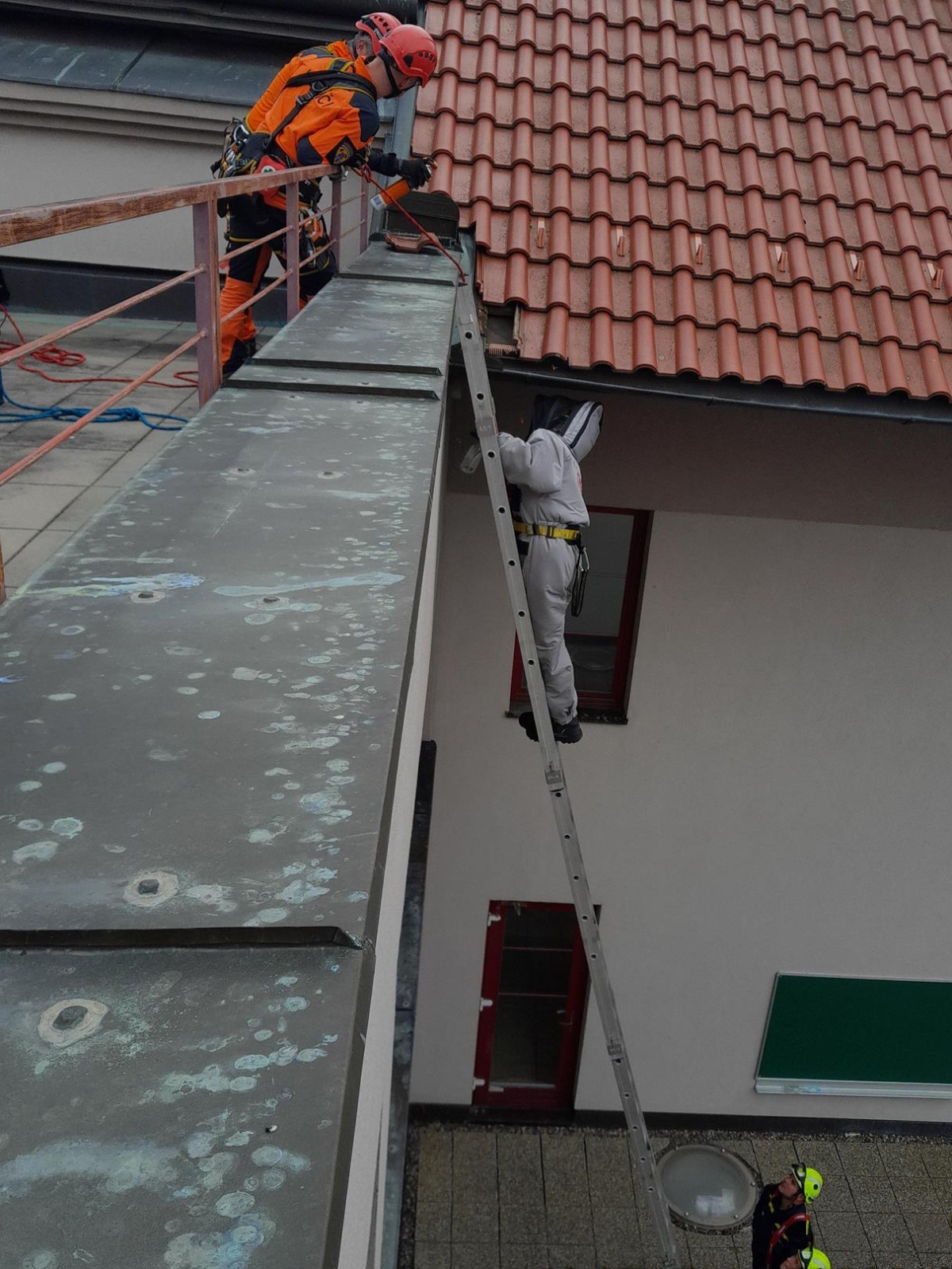 170925-Likvidace sršního hnízda z budovy základní školy v Jesenici v okrese Praha-západ.jpg