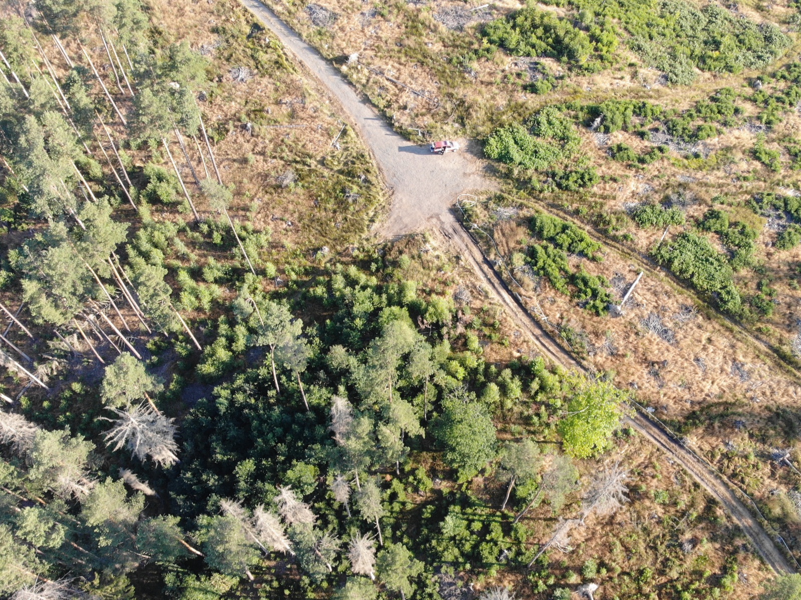 172-Požár v Národním parku České Švýcarsko.JPG