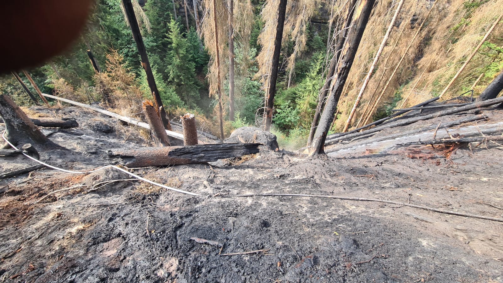 184-Požár v Národním parku České Švýcarsko.jpg