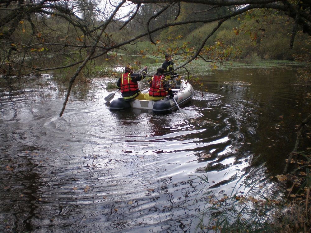 2 Ostranění stromů z vedení, Halámky - 25. 10. 2014 (3).JPG