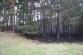 2 Požár lesa, Hněvkovice - 21. 4. 2014 (4)