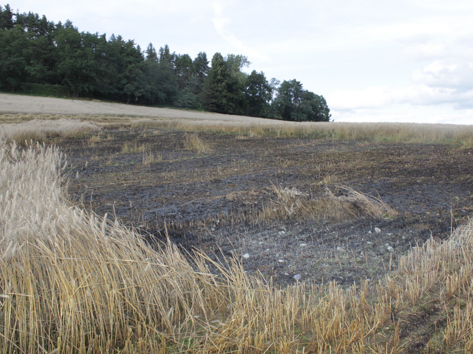 2 Požár lisu, Volenice - 25. 8. 2014 (2).jpg