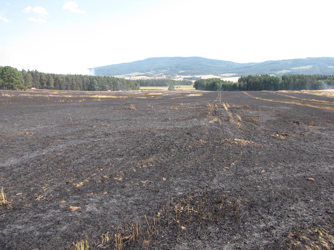 2 Požár pole a lesa, Nová Ves - 18. 7. 2015 (2).JPG