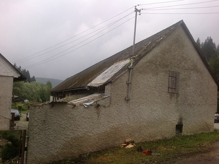 2 Spadlý strom, Šumavské Hoštice - 21. 7. 2014 (2).jpg