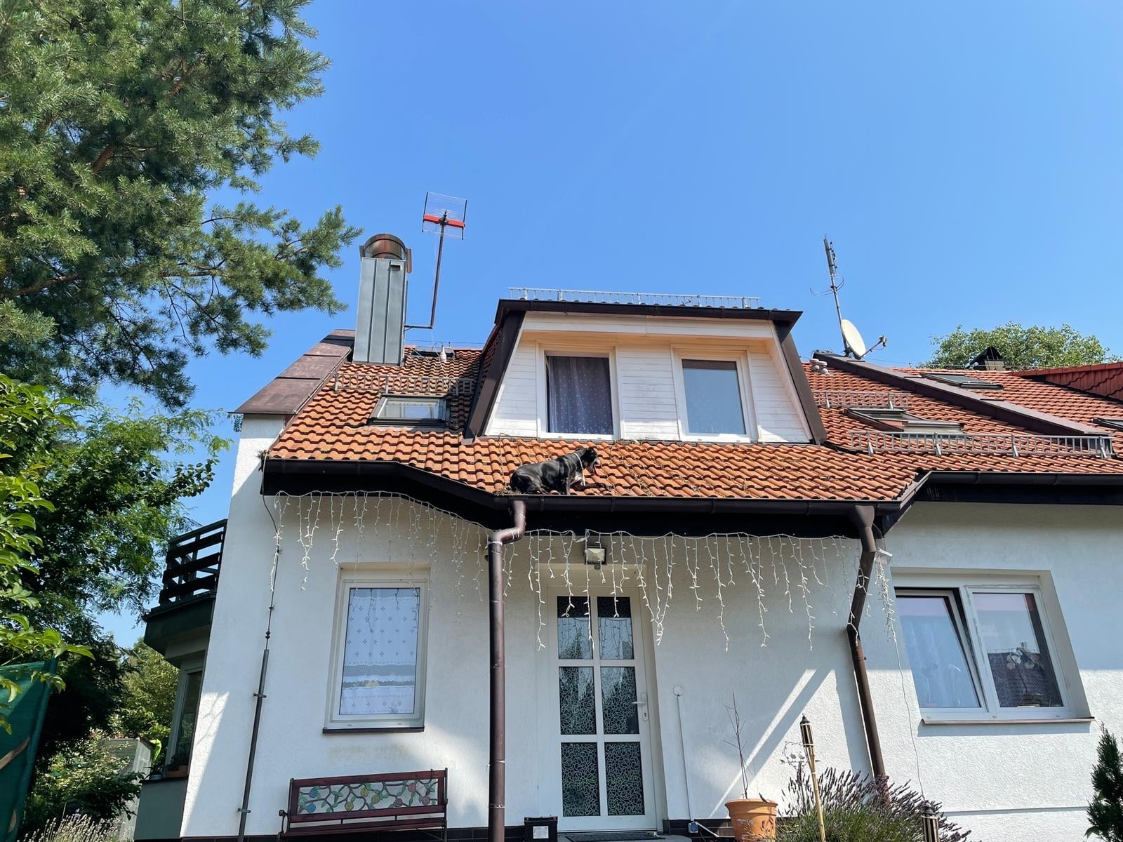 2-pes-hostivice1.jpg