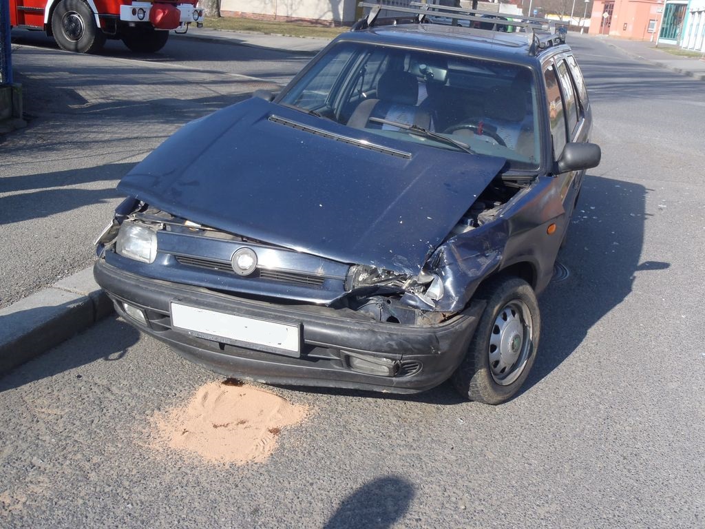 20.3.2015 DN Horažďovice.JPG