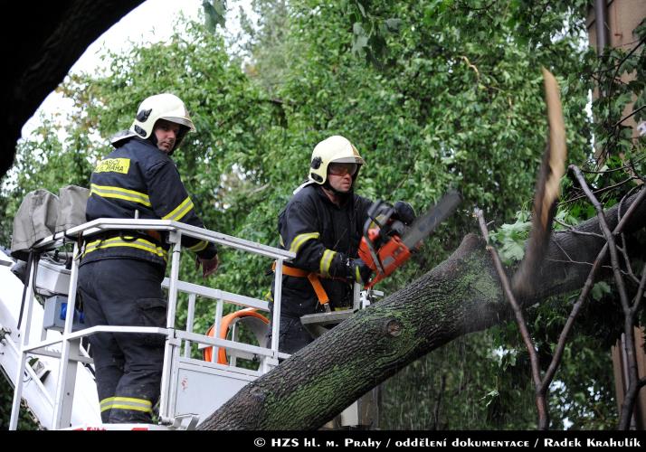 20130611C_sarecka_Kr002.jpg