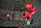 2014-07-22-24_Slovensko09