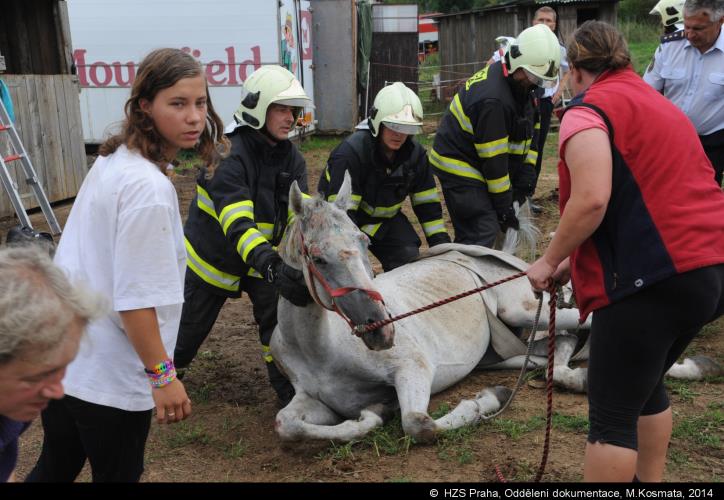 20140813B_kůň_Ko011.JPG