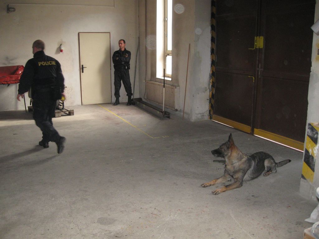 20141106_psovodi06.jpg