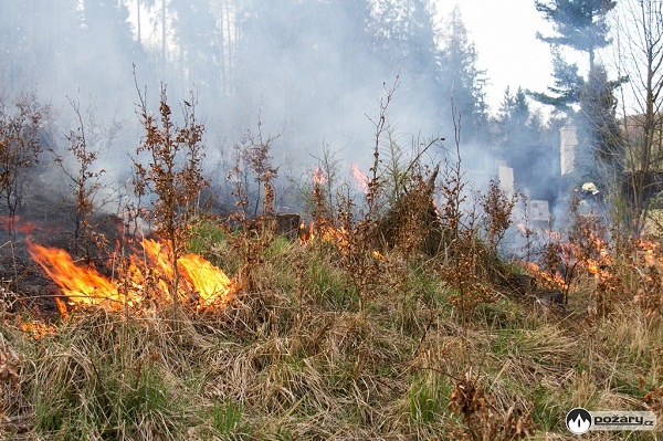 2015_04_19 Pozar lasa Teskovice 06m.jpg