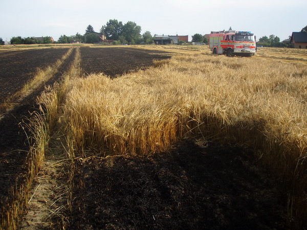 2015_07_18 Pozary v MSK_Lutyne_02m.jpg