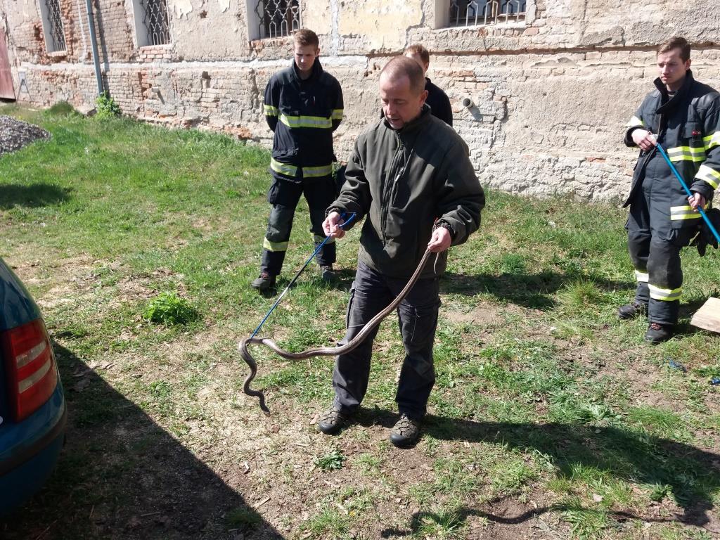 20190415_142956.jpg