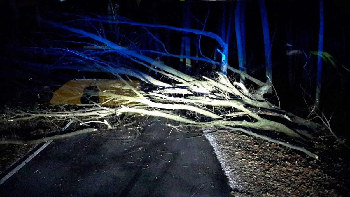 2020-12-28-vítr v JmK/2020-12-28-strom přes silnic.jpg