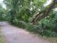2021-07-09-bouřka v JMK/2021-07-09-bouřka v JMK (2)