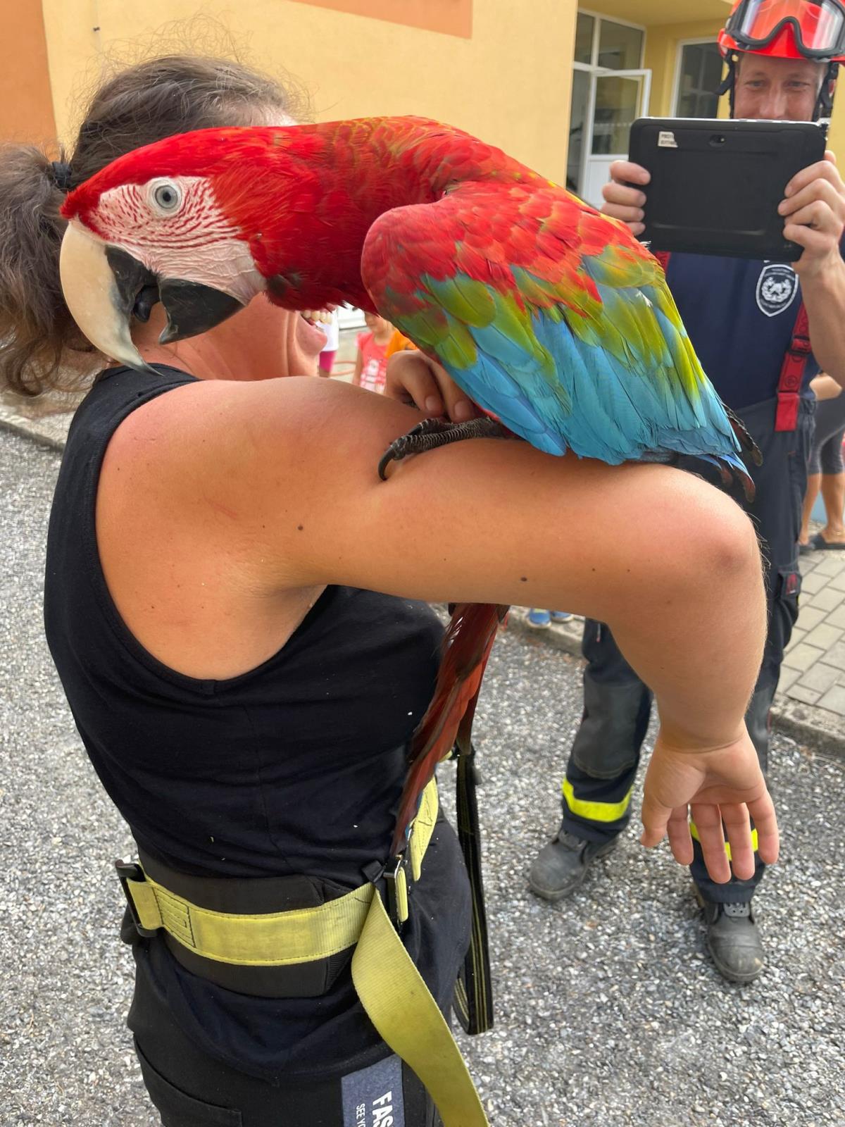 2022-08-25-ZOZ papoušek, Tišnov/ZOZ Papoušek Tišnov (1).jpg