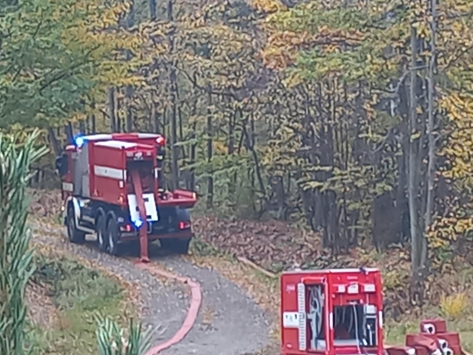 2022-10-15 TC Březina/taktické cvičení březina (11).jpg