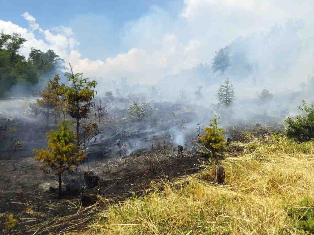 2023-06-18 Požár porostu, Hlína/požár porostu Hlína (3).jpg