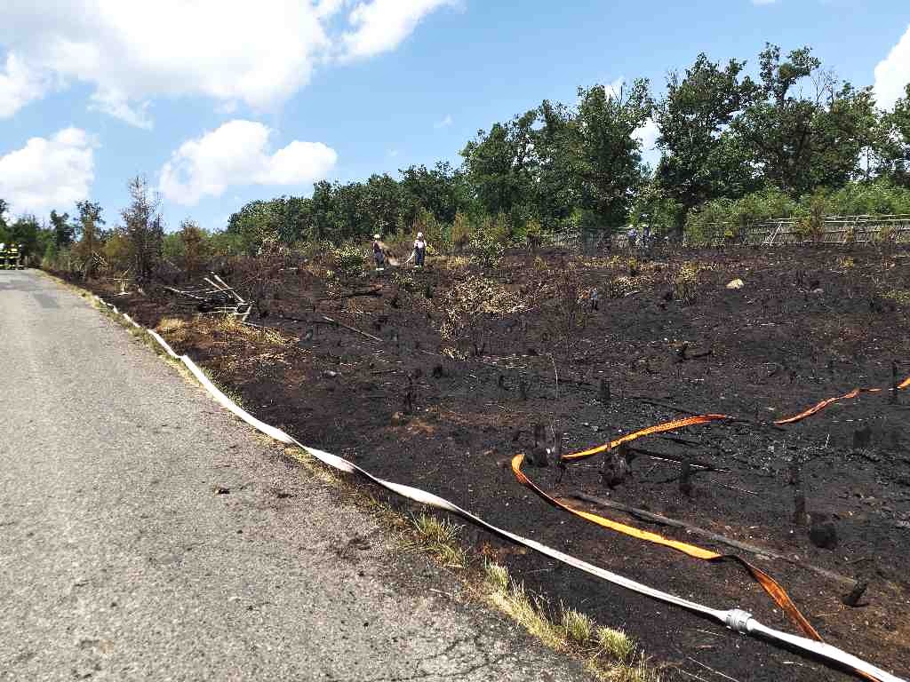 2023-06-18 Požár porostu, Hlína/požár porostu Hlína (8).jpg