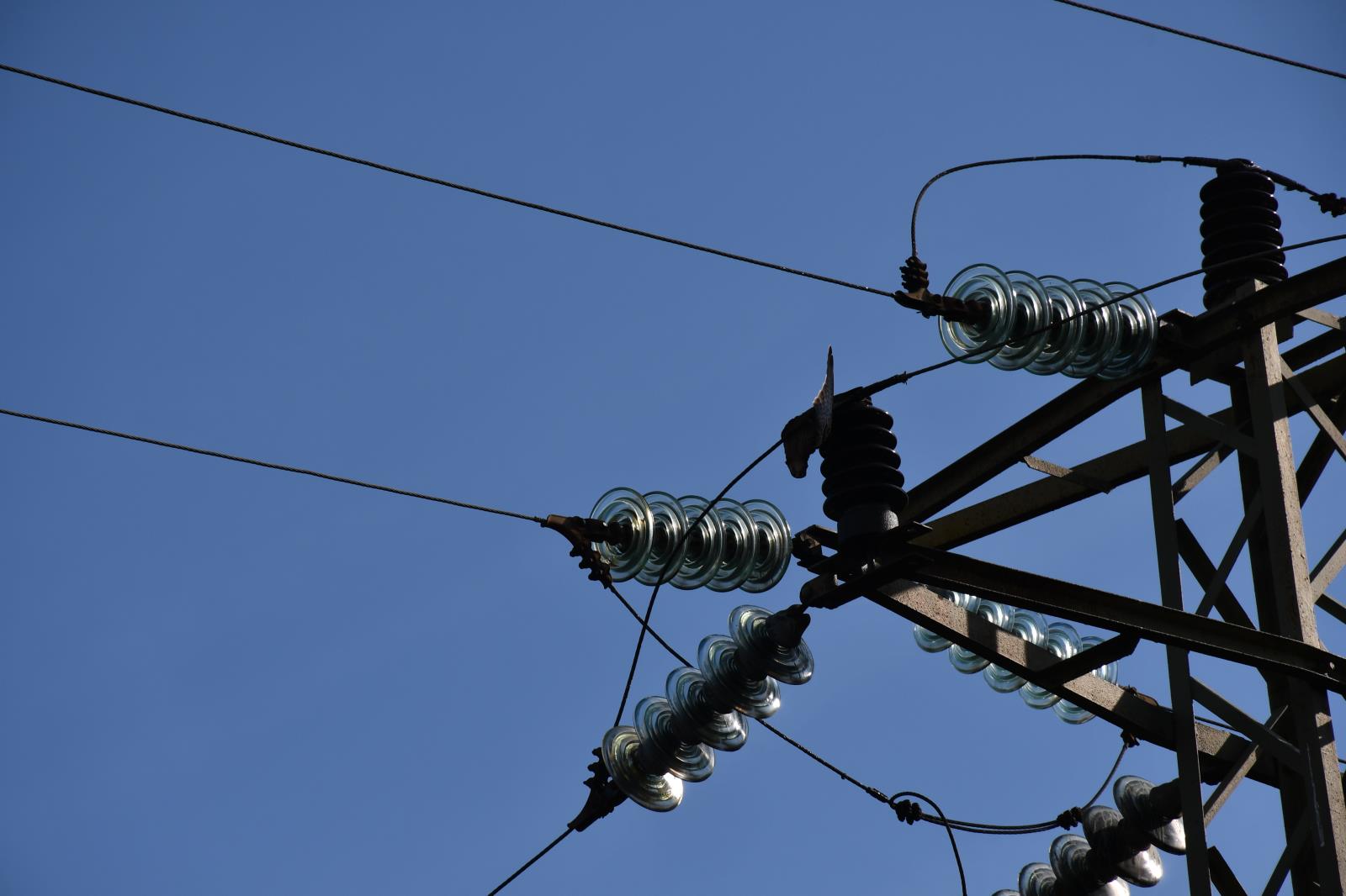 2023_08_13-Tašov_pták