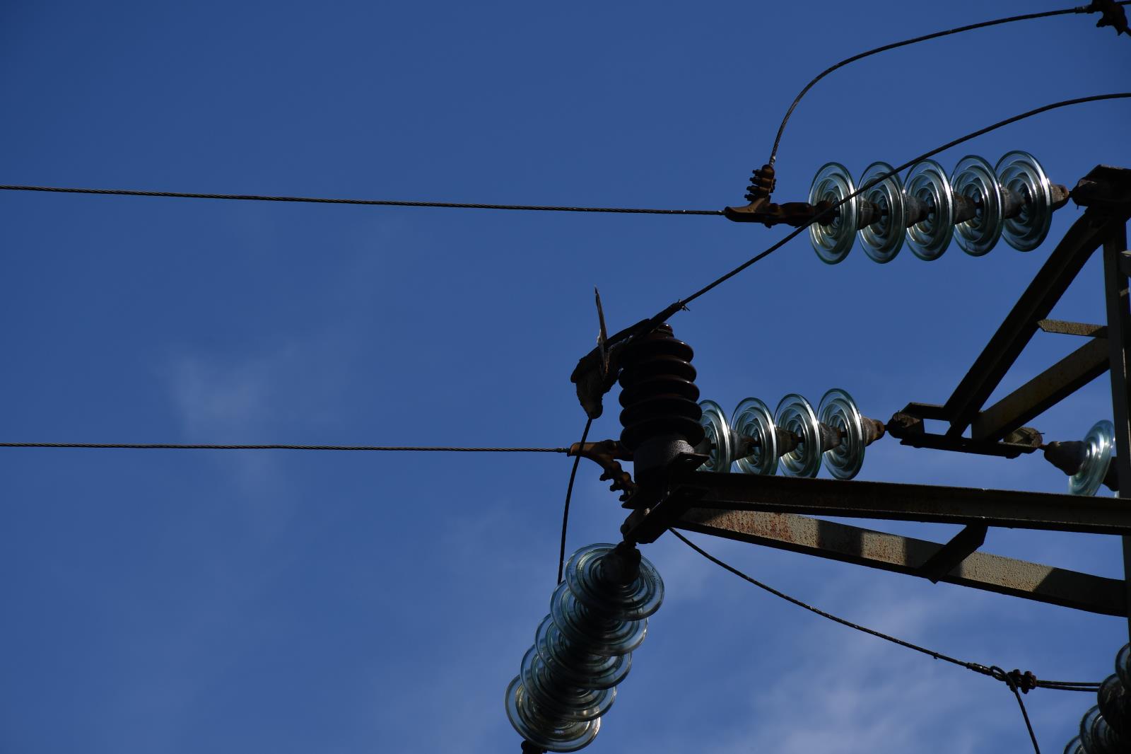 2023_08_13-Tašov_pták