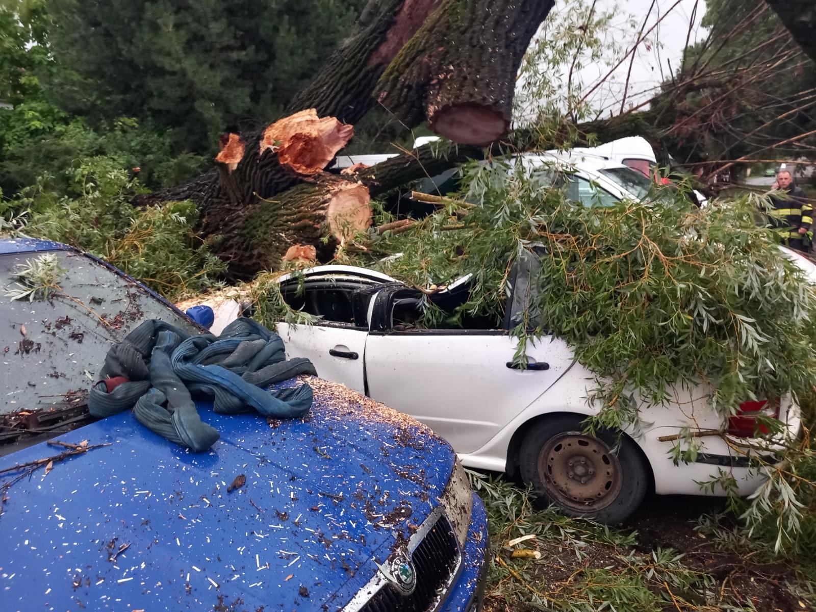 2025-07-21 Bouřka, JHM/strom na OA, Brno 2.jpeg