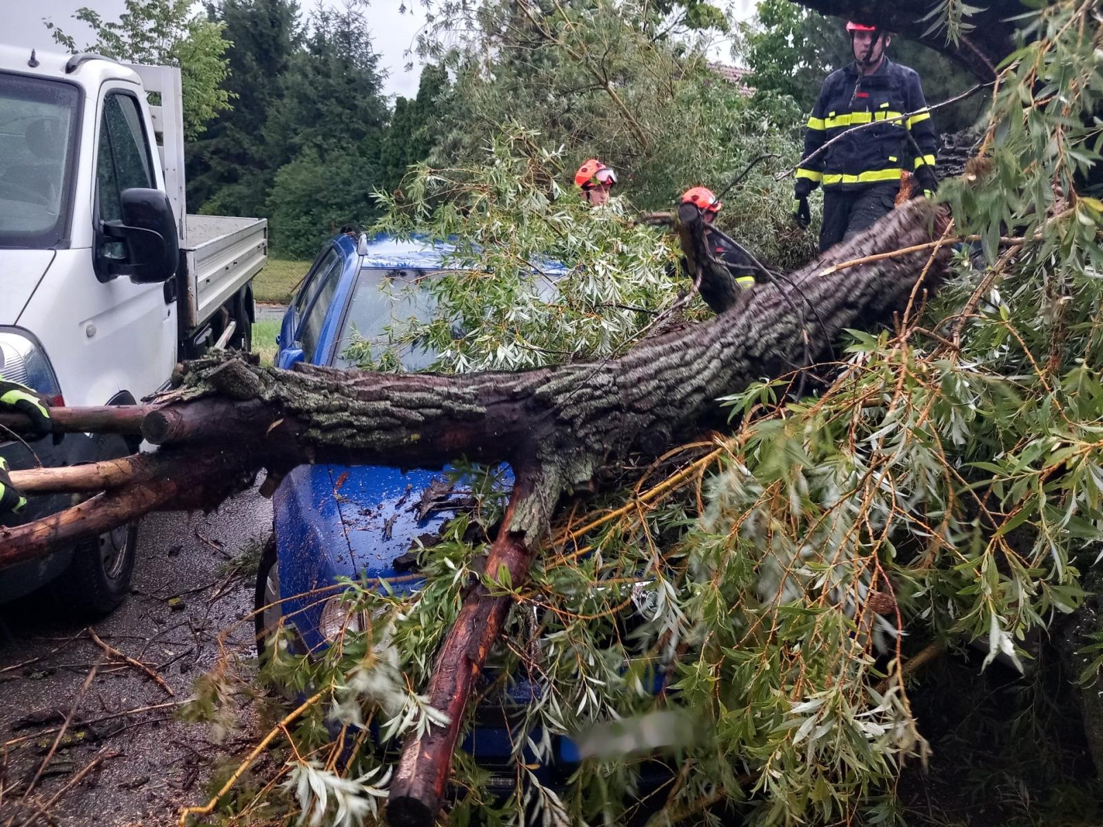 2025-07-21 Bouřka, JHM/strom na OA, Brno.jpeg