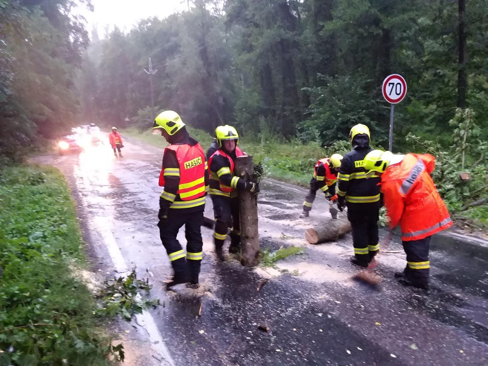 2025-07-21 Bouřka, JHM/strom střelice.jpeg