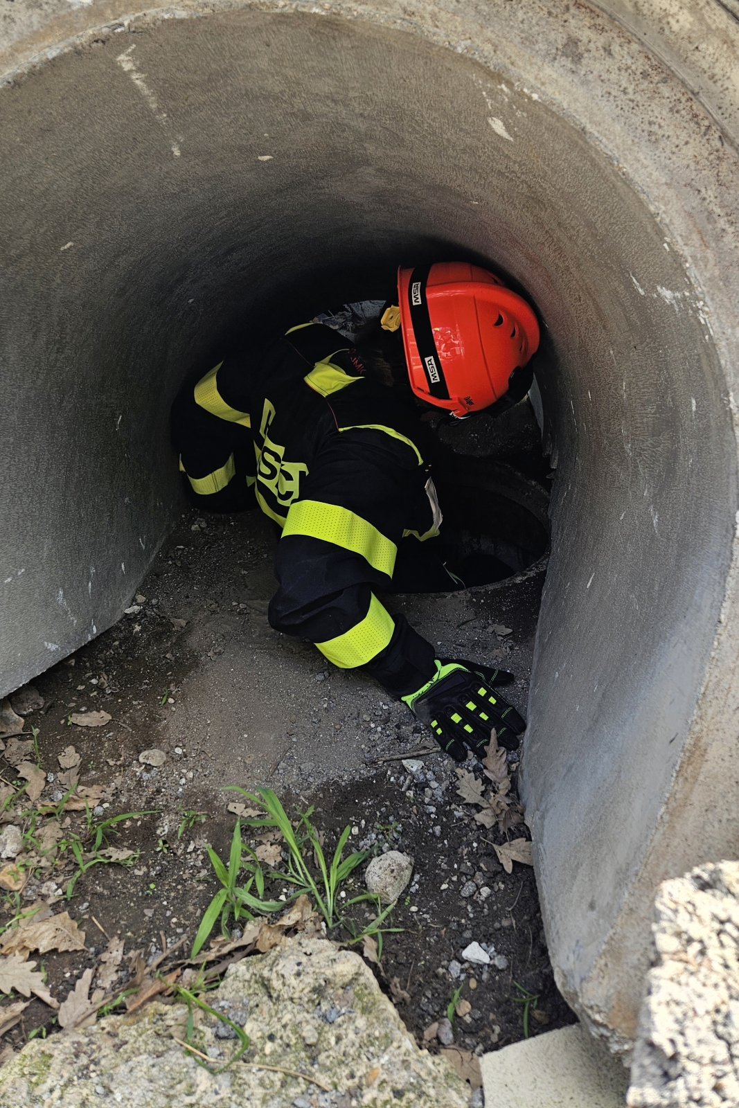 2025-07-29 výcvik Břeclav (7).jpg