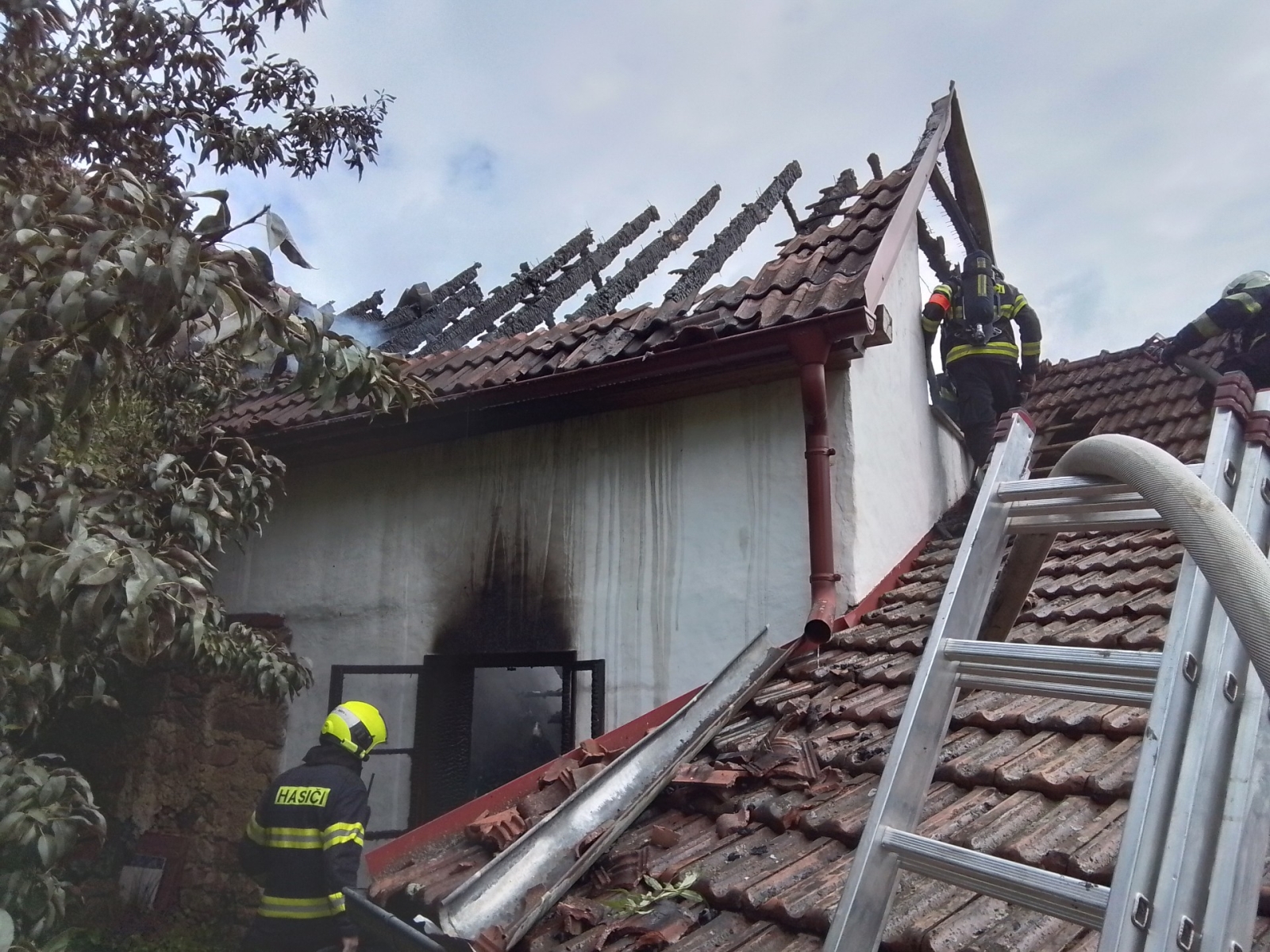 2025-08-03 P RD Rojetín (1).jpg