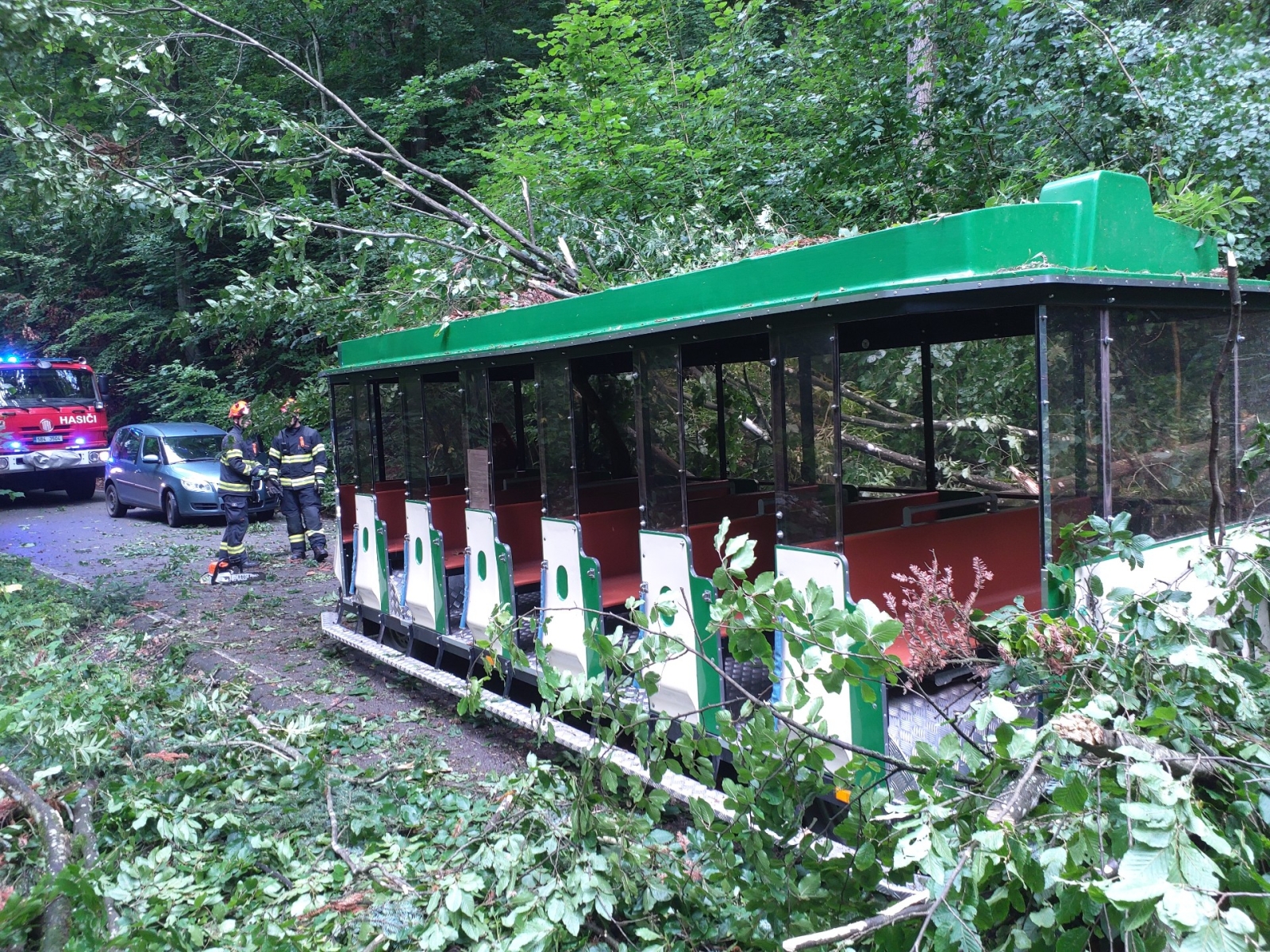 2025-08-03 pád stromu na vlak, Blansko (1).jpg