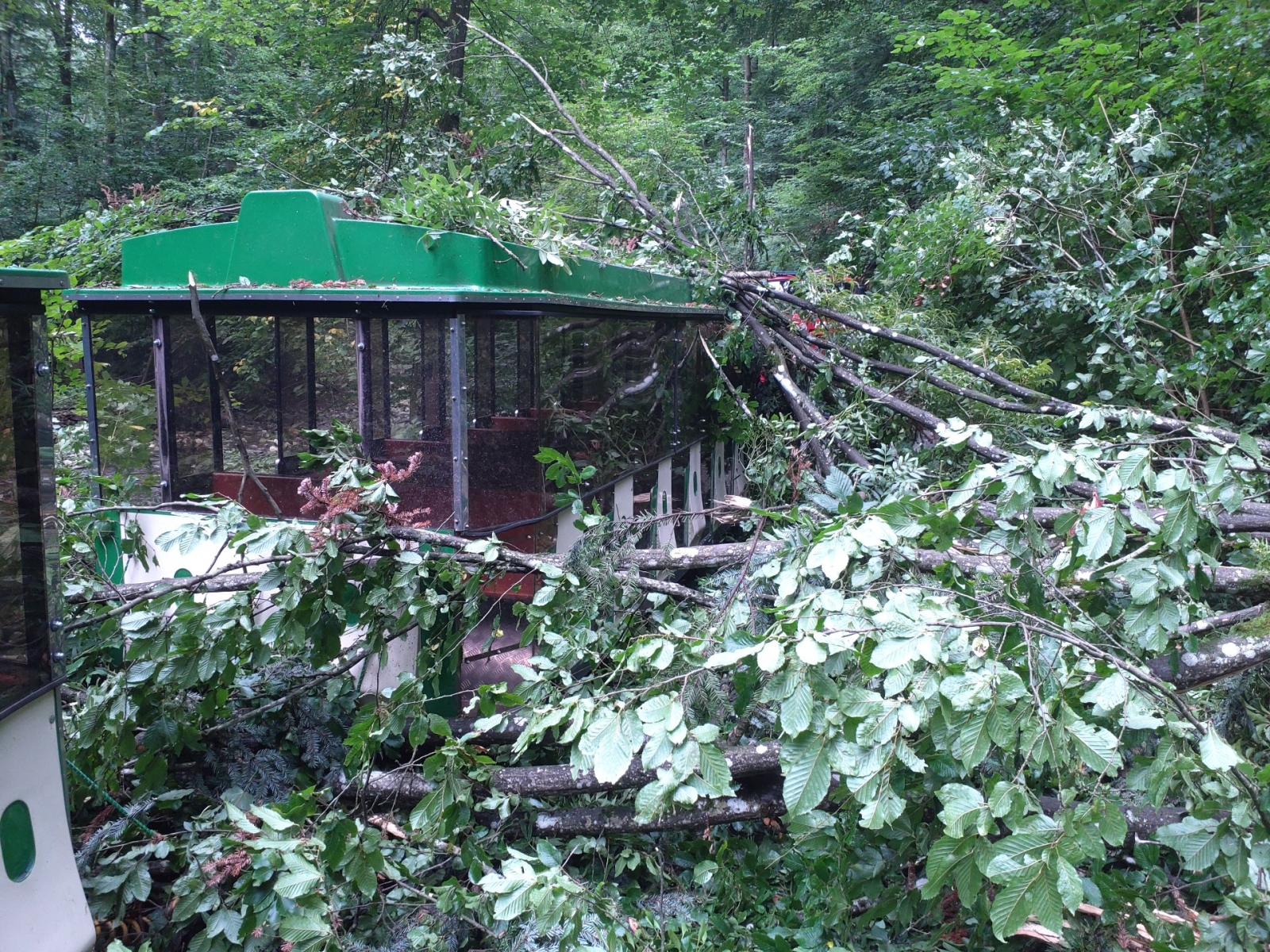 2025-08-03 pád stromu na vlak, Blansko (2).jpg