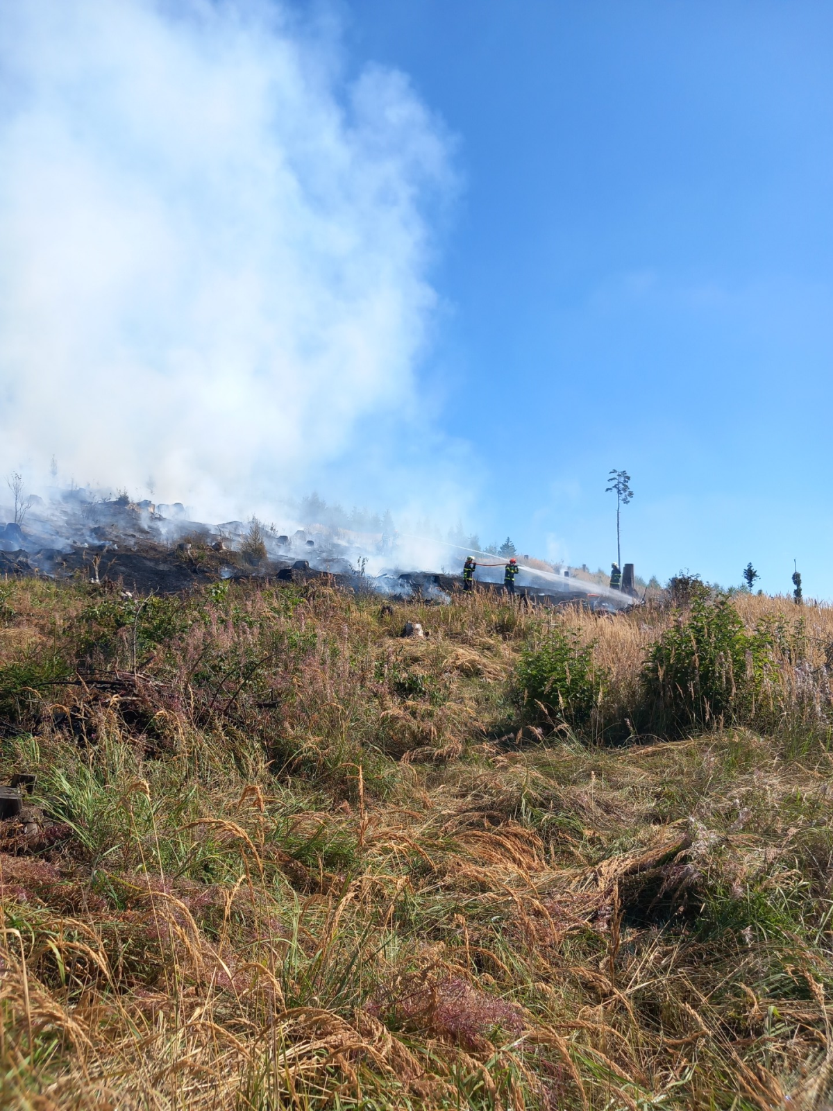 2025-08-19 Požár lesa, Němčice/2.png