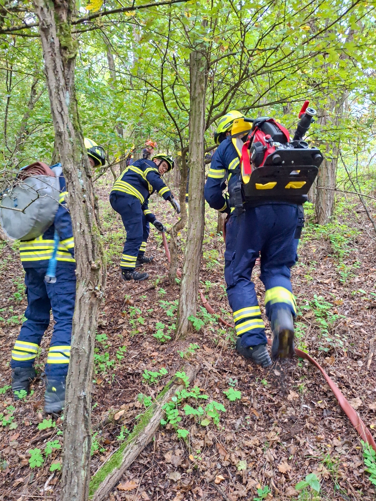 2025-10-10 TC požár v NP Podyjí  (8).jpg