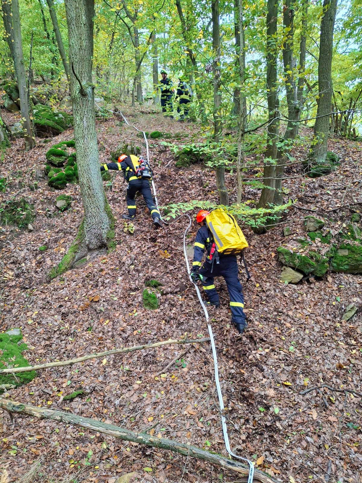 2025-10-10 TC požár v NP Podyjí  (9).jpg