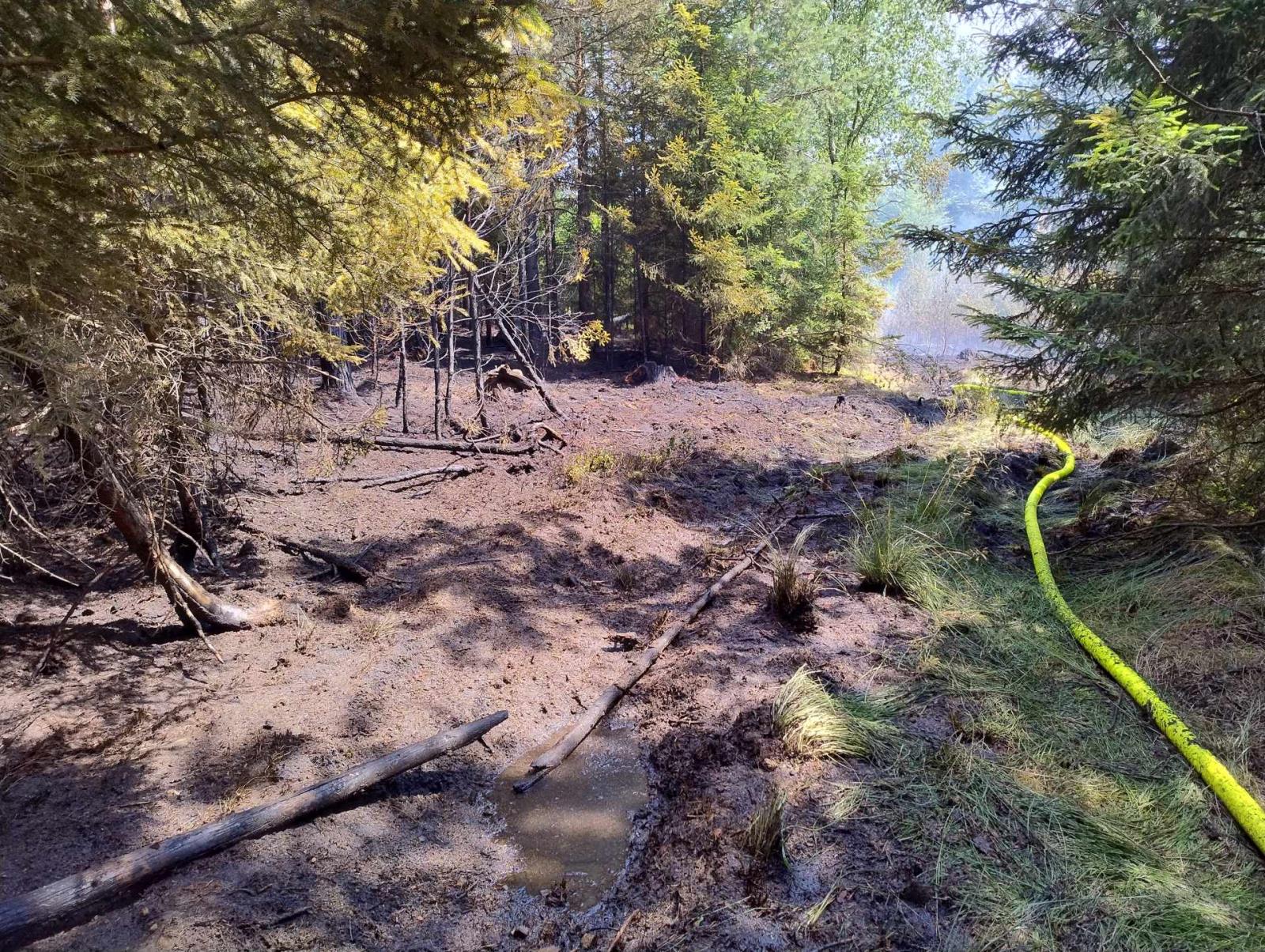 2025_07_05-P_DC_Růžová (3).jpg