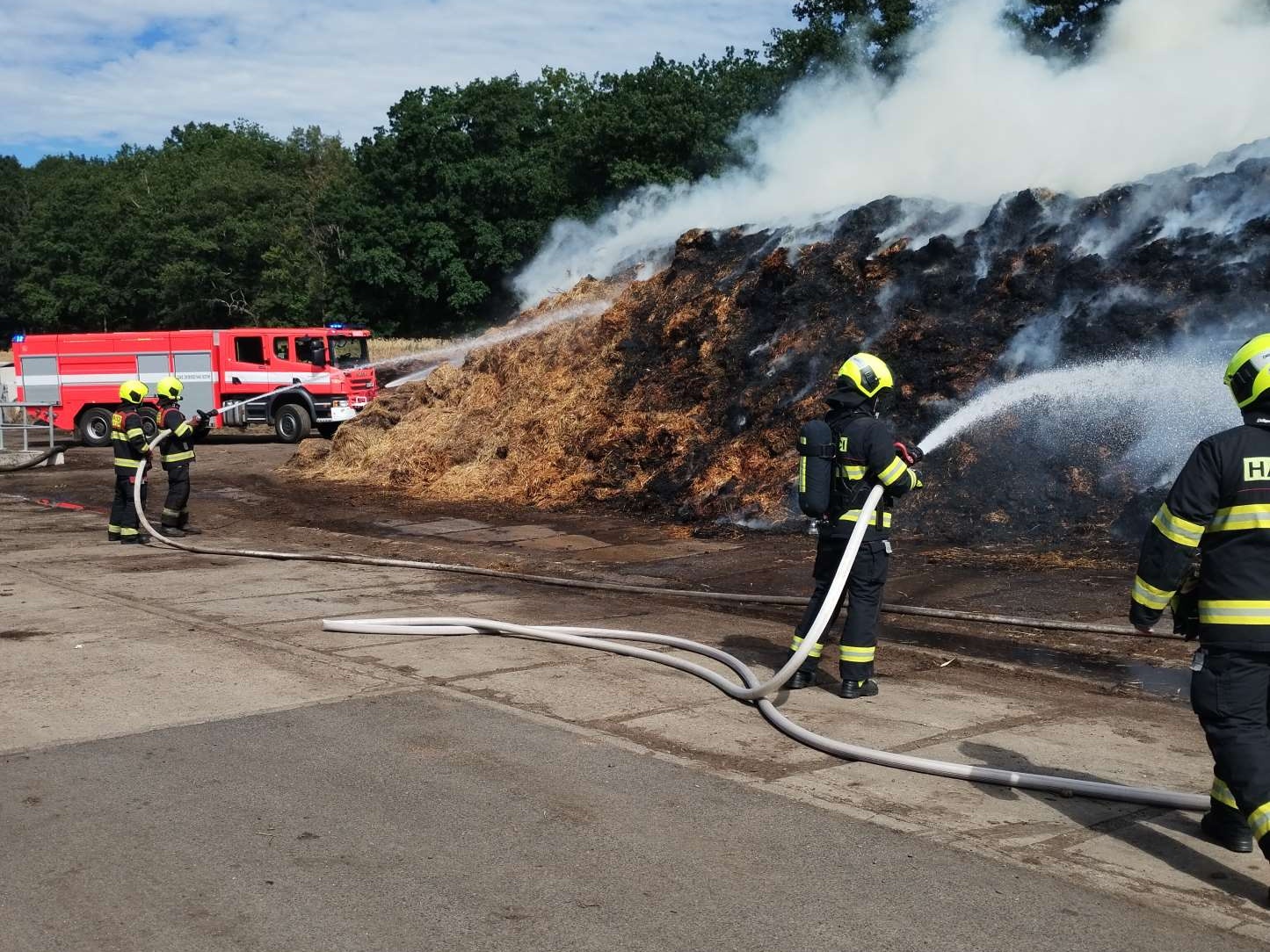 2025_08_08-P_CV_Zelena (1).jpeg