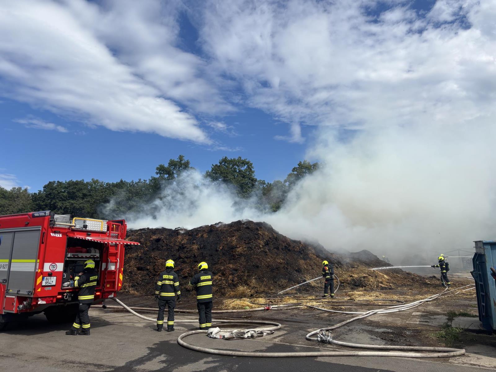 2025_08_08-P_CV_Zelena (3).jpeg