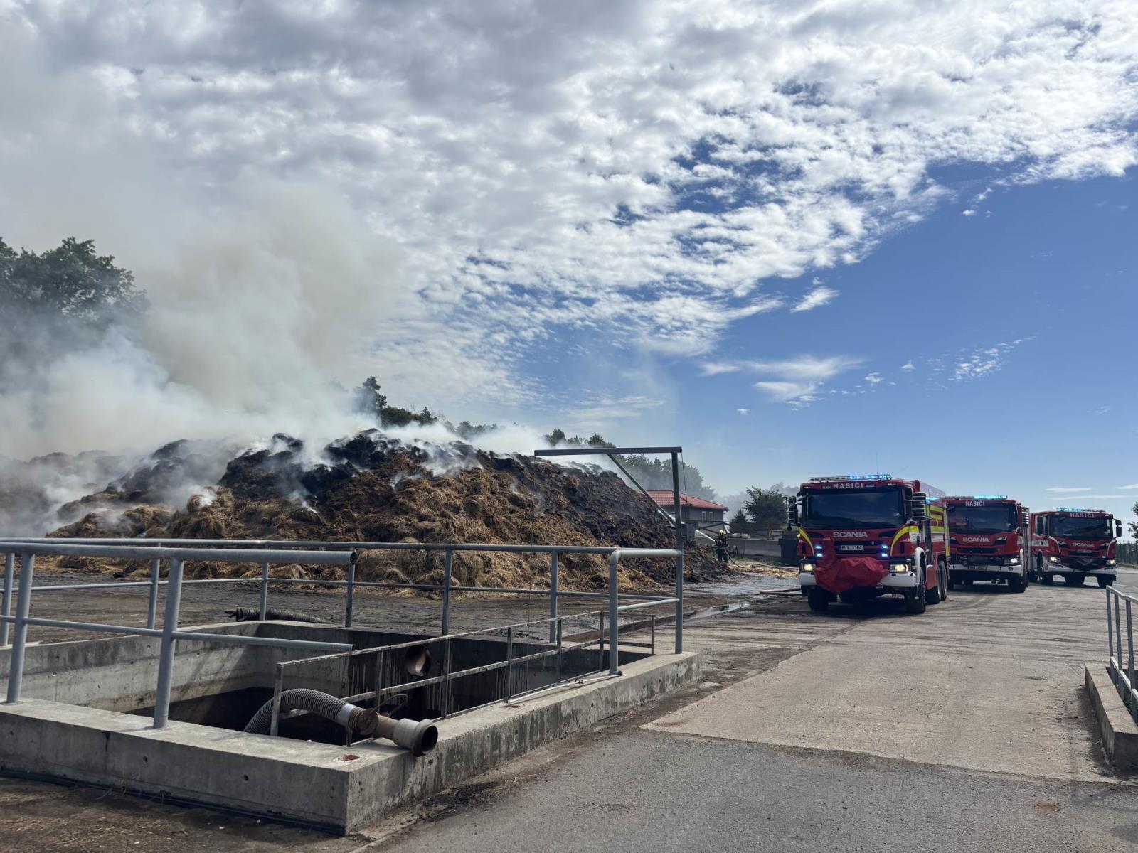 2025_08_08-P_CV_Zelena (4).jpeg