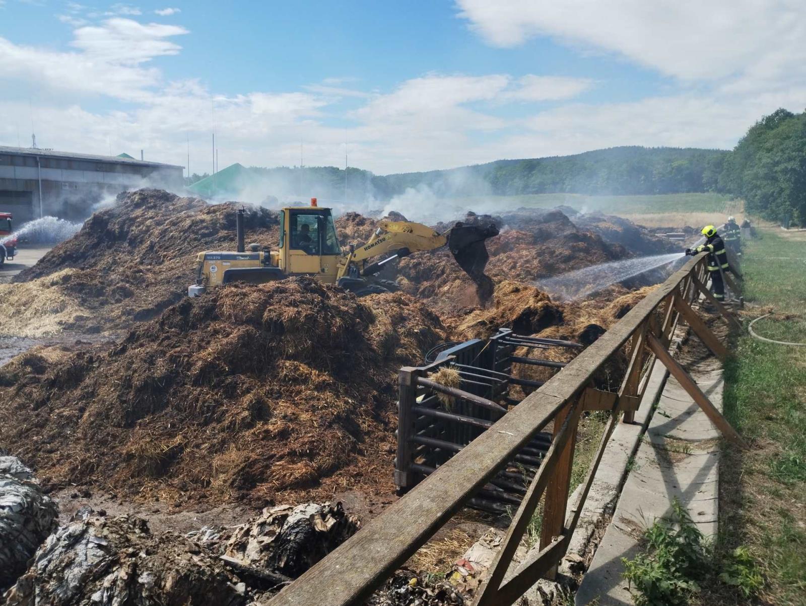 2025_08_08-P_CV_Zelena (8).jpeg