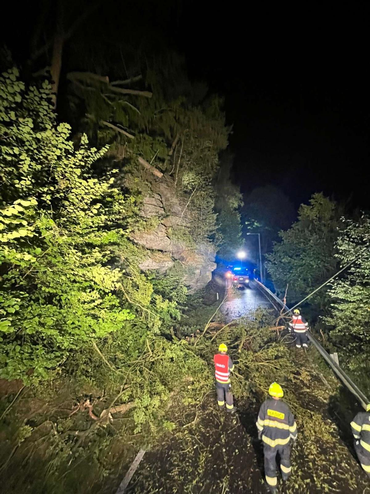 2025_09_06_TP_ULK_popadane_stromy