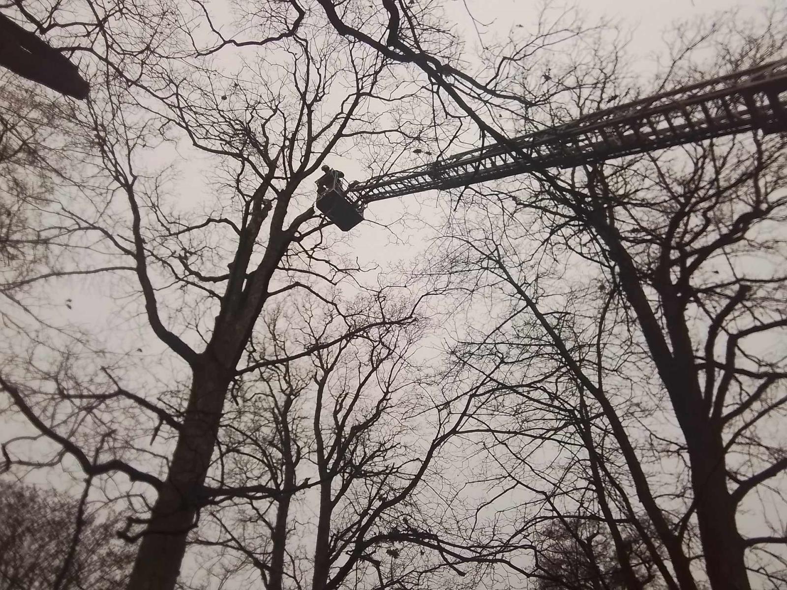 2025_12_16_TP_TP_Krupka 01.jpeg